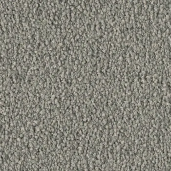 Vorwerk Violetta 54A9 – Draufsicht Teppichboden Farbe 54A9 ohne Badge